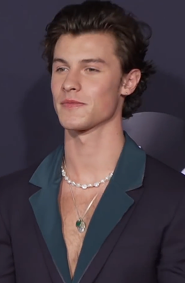 Фото Shawn Mendes