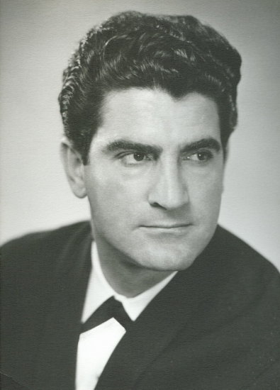 Vigen