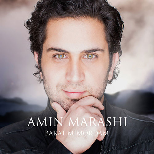 Amin Marashi