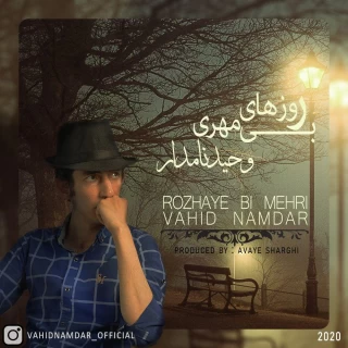 Vahid Namdar