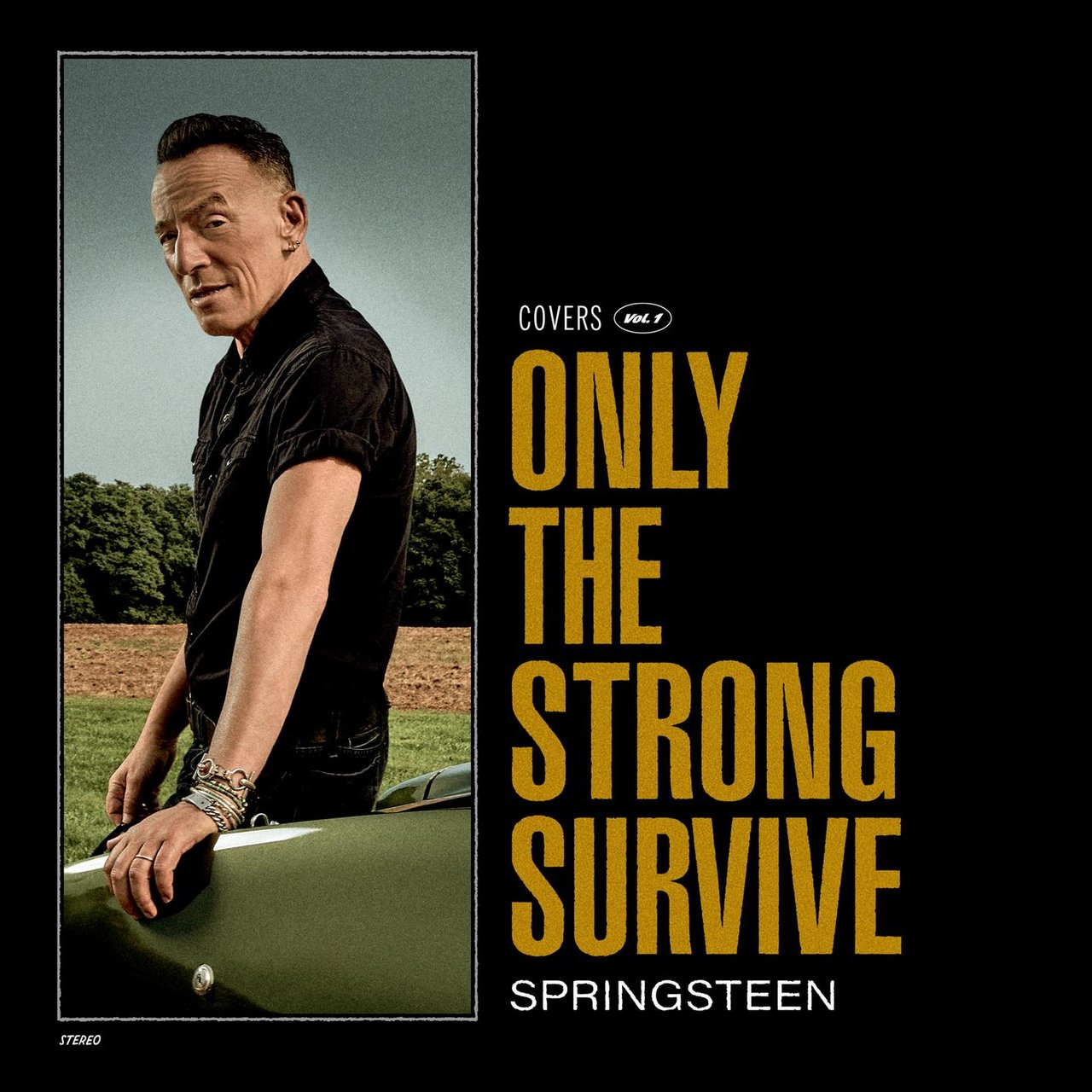 Only the Strong Survive — Bruce Springsteen