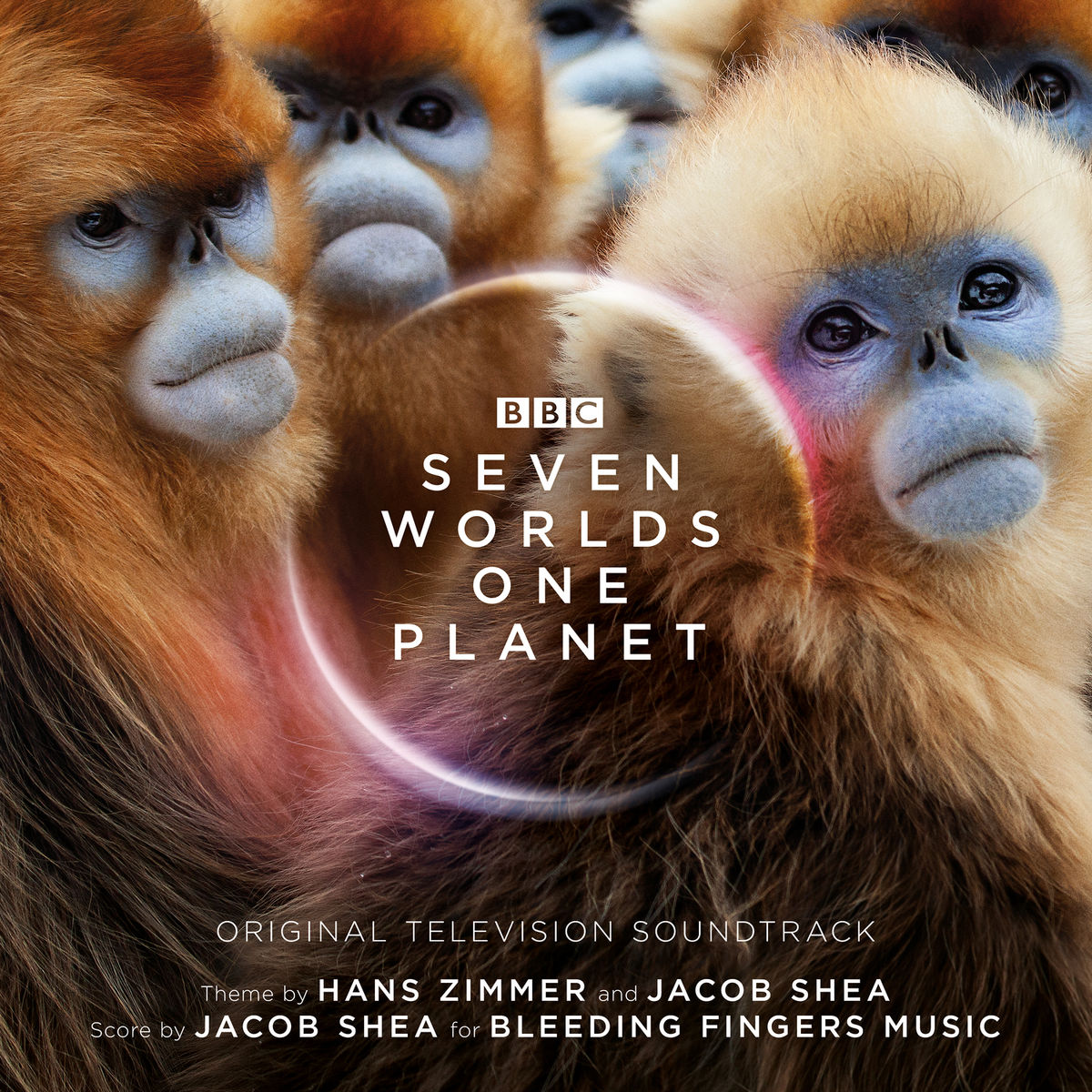 Seven Worlds One Planet (Original Television Soundtrack) — Hans Zimmer