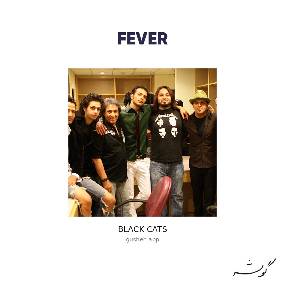 Fever · Black Cats