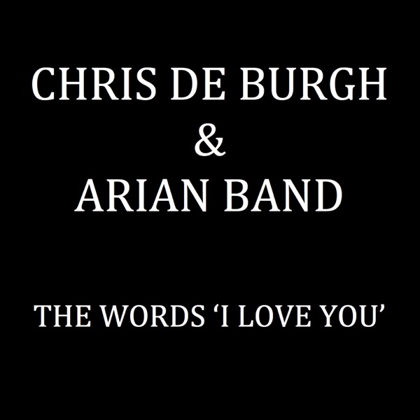 The Words I Love You (Radio Edit) — Chris de Burgh