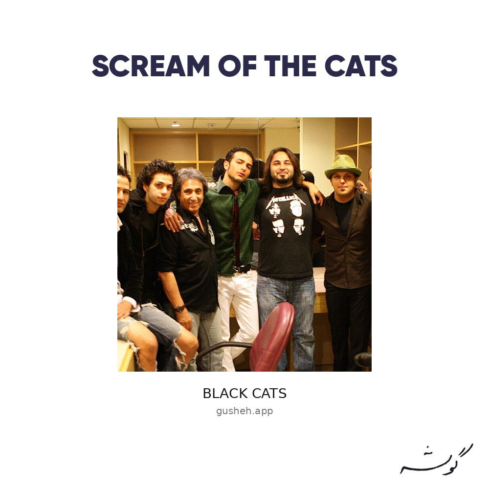 Scream Of The Cats · Black Cats