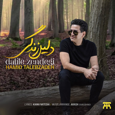 Dalile Zendegi — Hamid Talebzadeh