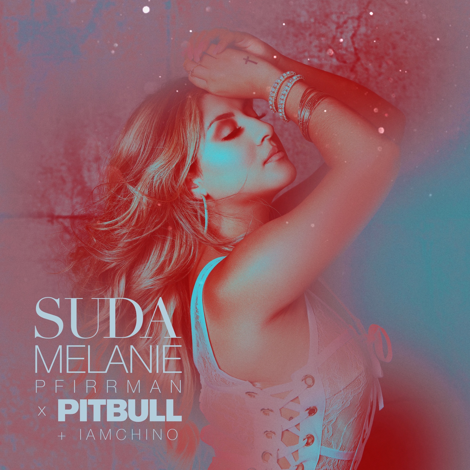 Suda — Pitbull