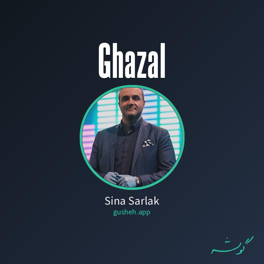 جلد قطعه غزل از Sina Sarlak