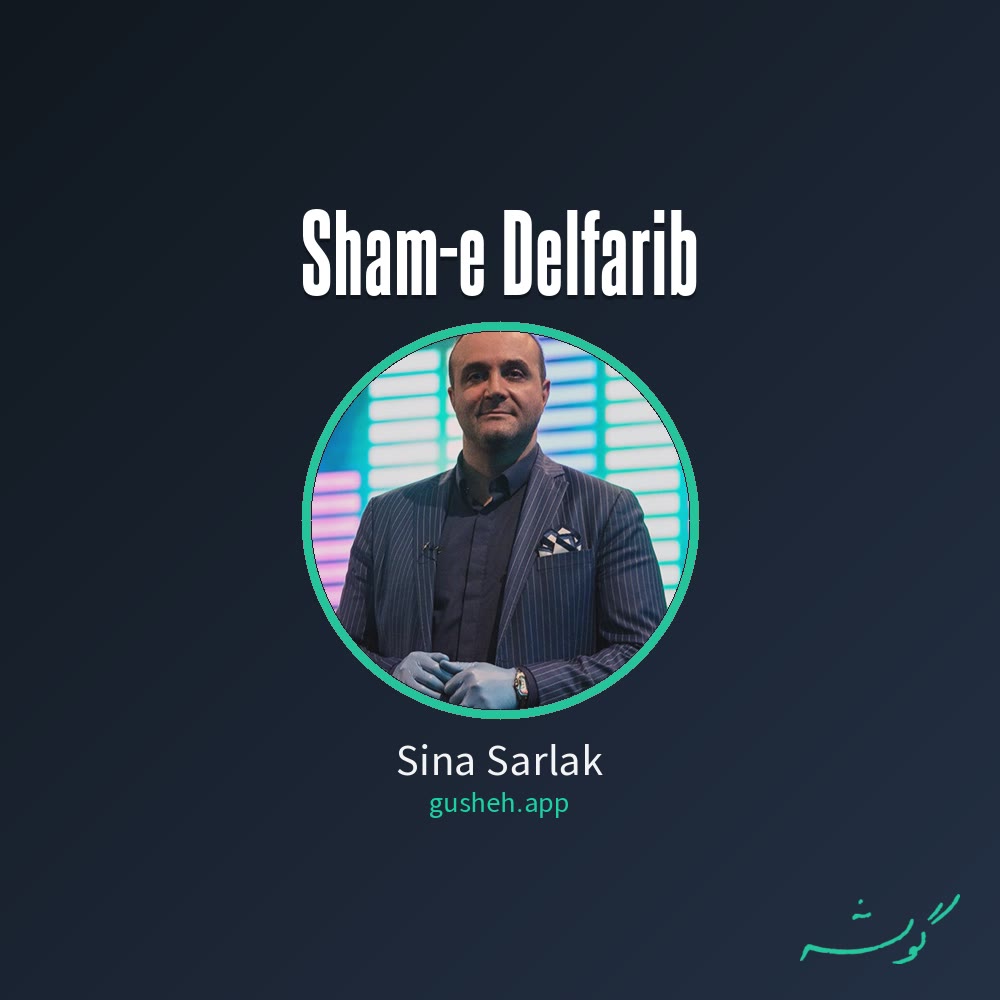 جلد قطعه شام دلفریب از Sina Sarlak