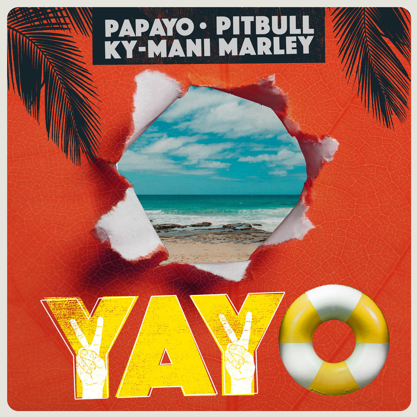 YAYO — Pitbull