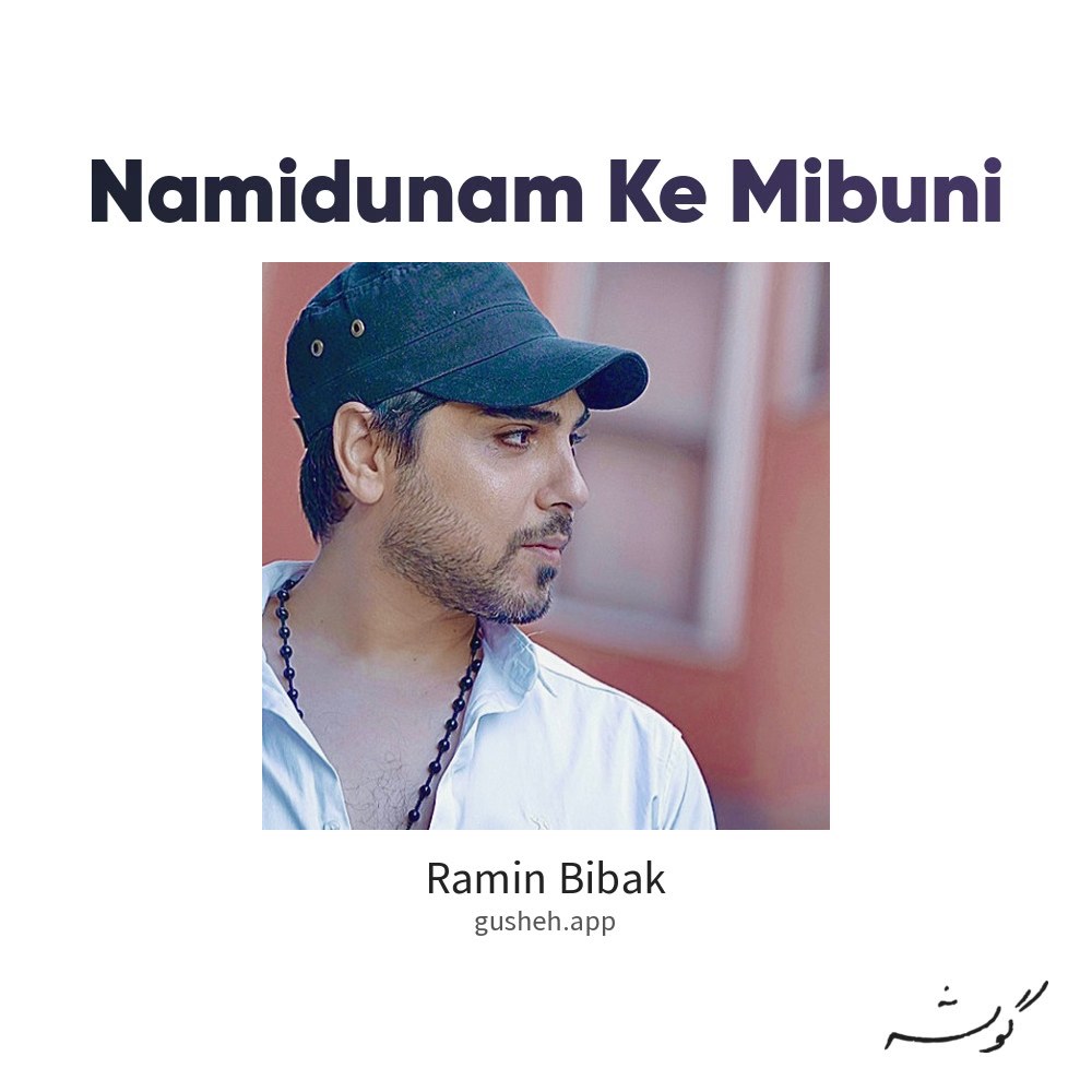 Обложка نمیدونم که مبدونی · Ramin Bibak
