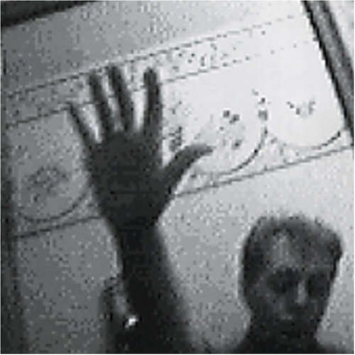Driving Rain — Paul McCartney