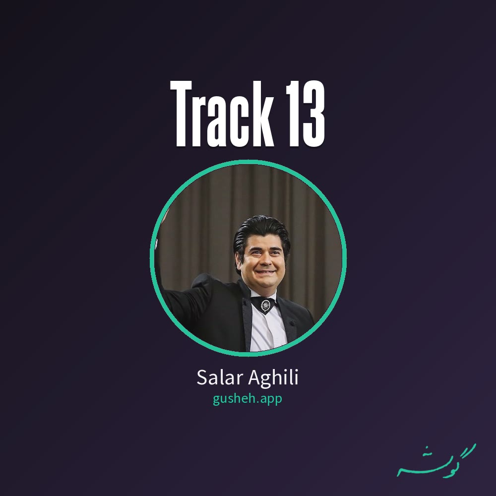 جلد قطعه track 13 از Salar Aghili