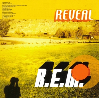 Reveal — REM