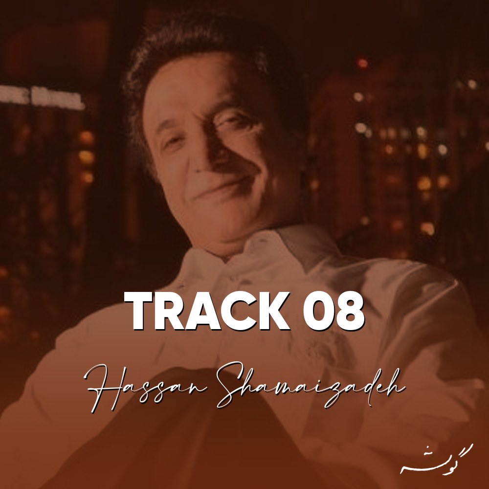 جلد قطعه Track 08 از Hassan Shamaizadeh
