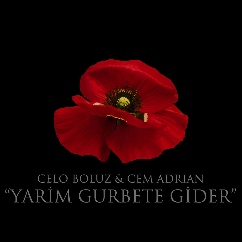 Yarim Gurbete Gider (feat. Celo Boluz) — Cem Adrian
