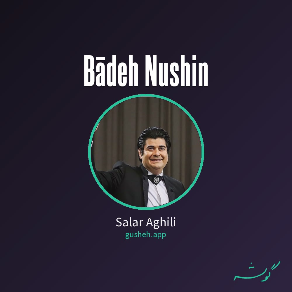جلد قطعه باده نوشین از Salar Aghili