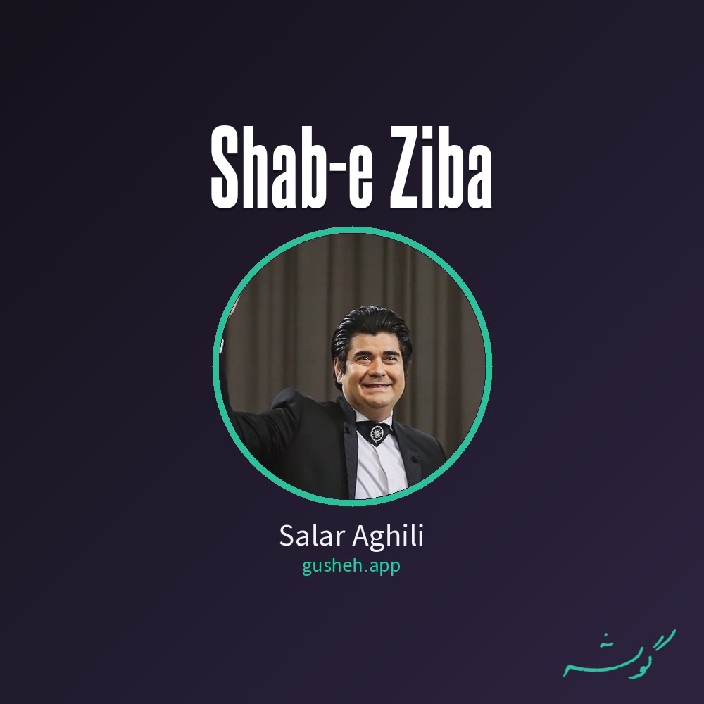 شب زیبا · Salar Aghili