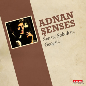 Sensiz Sabahsız Gecesiz — Adnan Senses