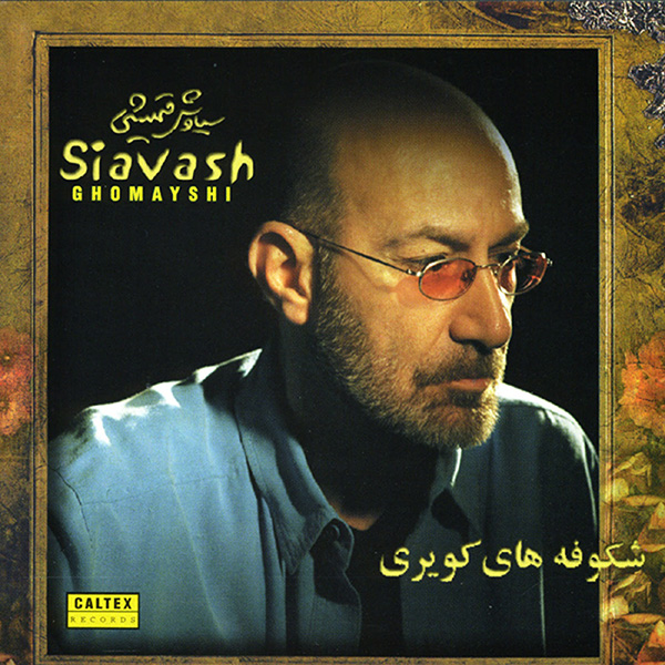 Cover art for zendegi by Siavash Ghomayshi