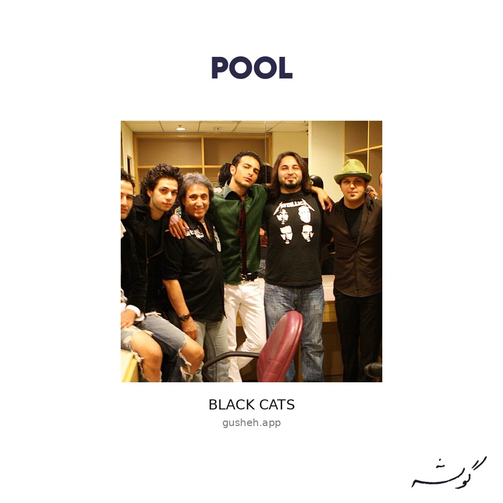 جلد قطعه Pool از Black Cats