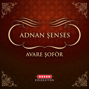 Avare Şoför — Adnan Senses