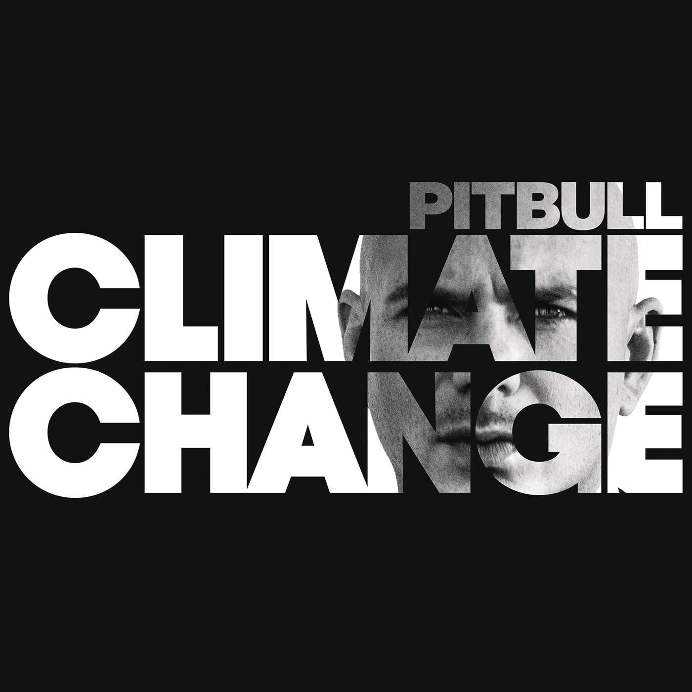 Options (feat. Stephen Marley) — Pitbull