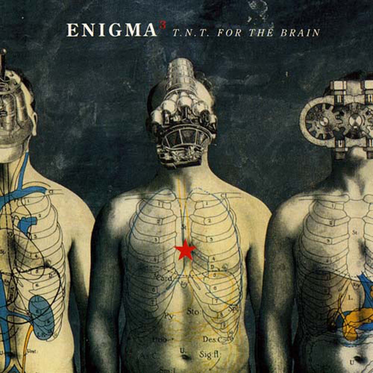 T.N.T. For The Brain — Enigma