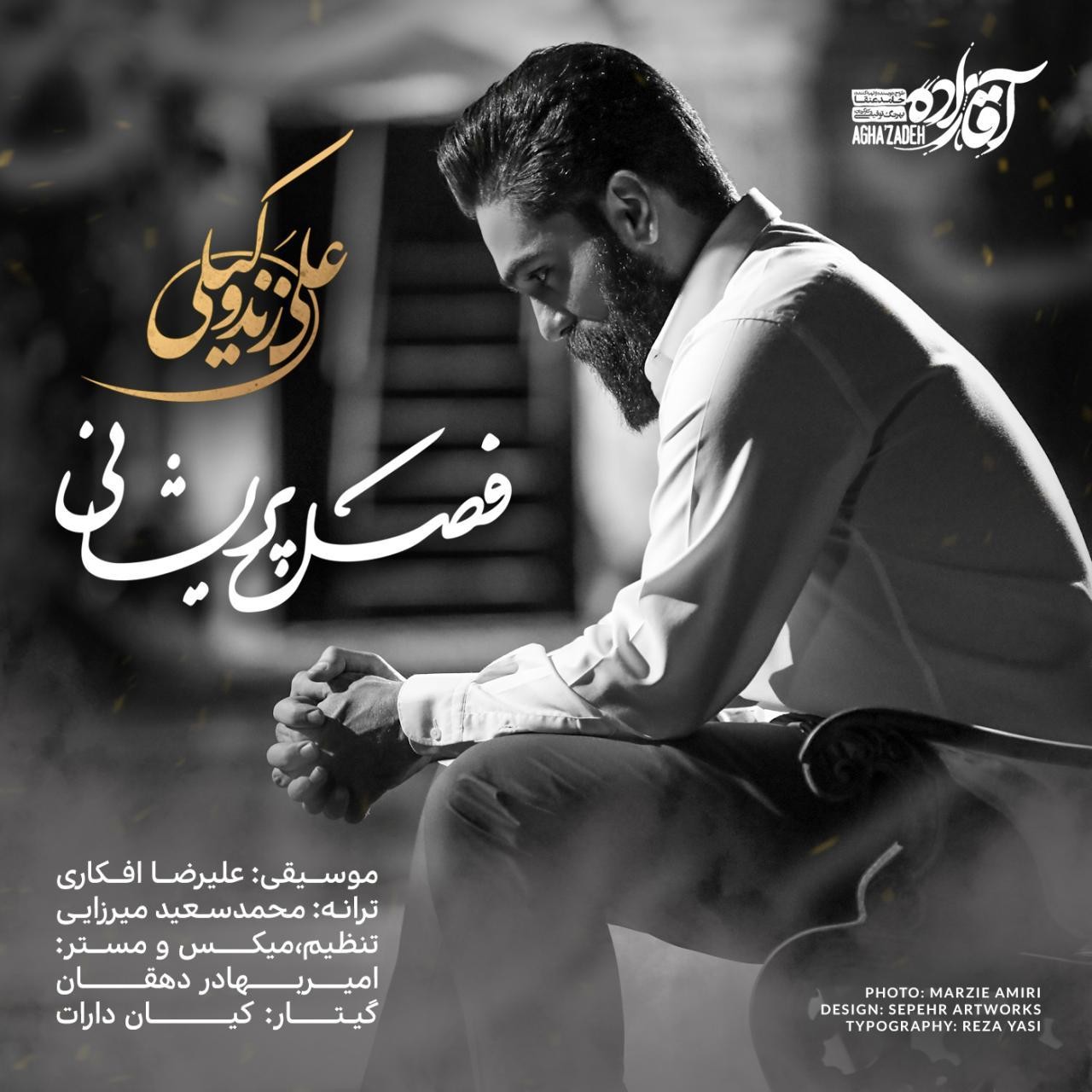 جلد قطعه Fasle Parishani از Ali Zand Vakili