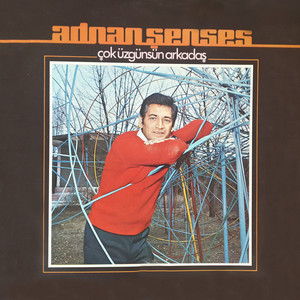 Çok Üzgünsün Arkadaş — Adnan Senses