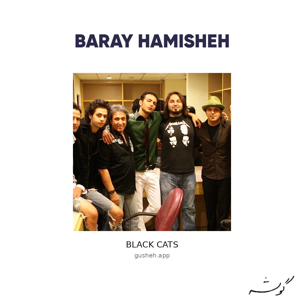 جلد قطعه Baray Hamisheh از Black Cats