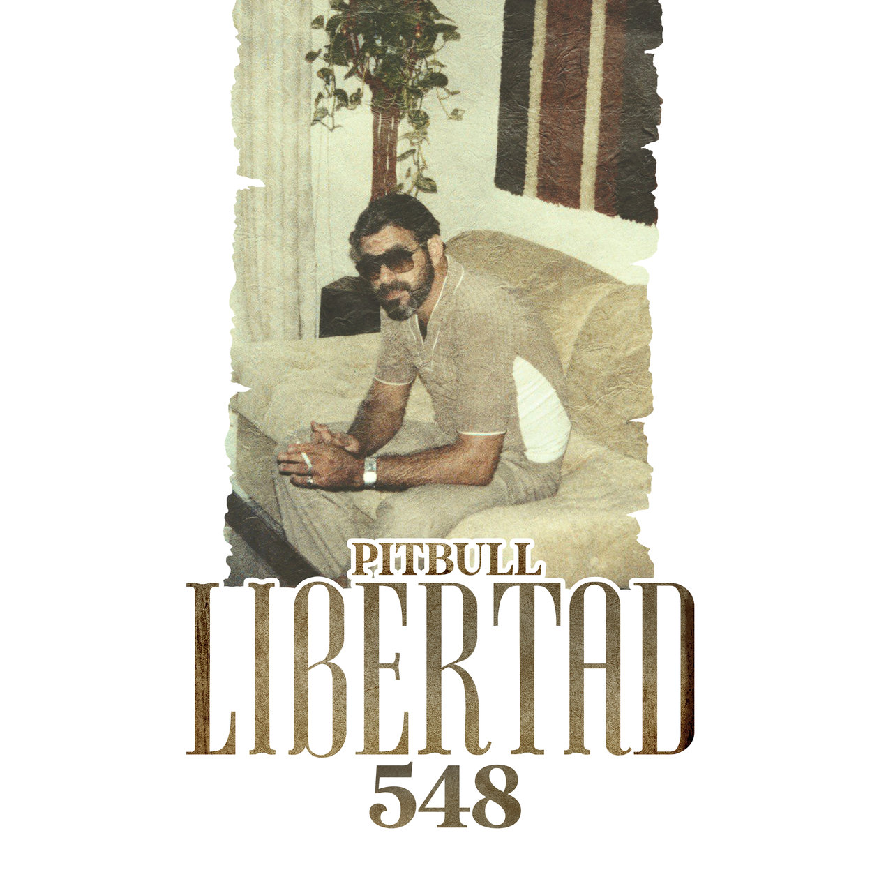 Libertad 548 — Pitbull
