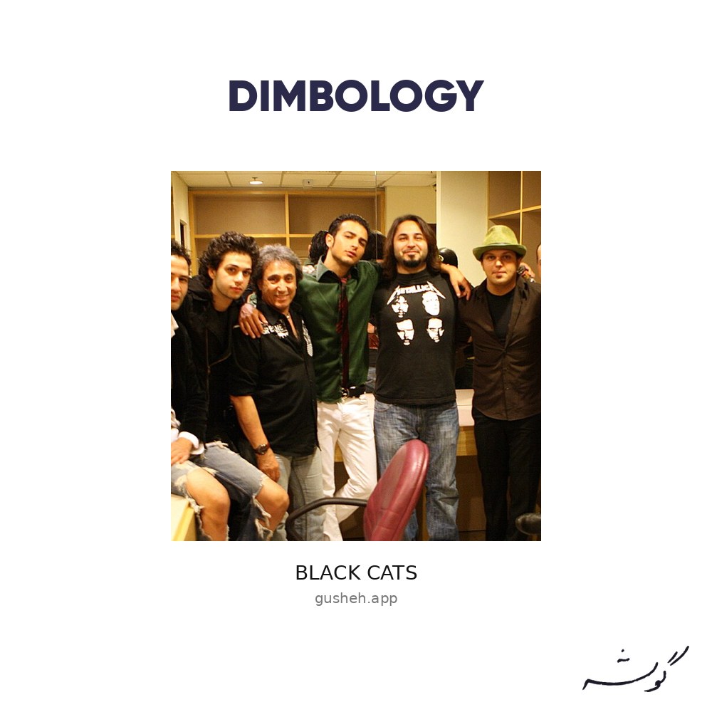 Dimbology · Black Cats