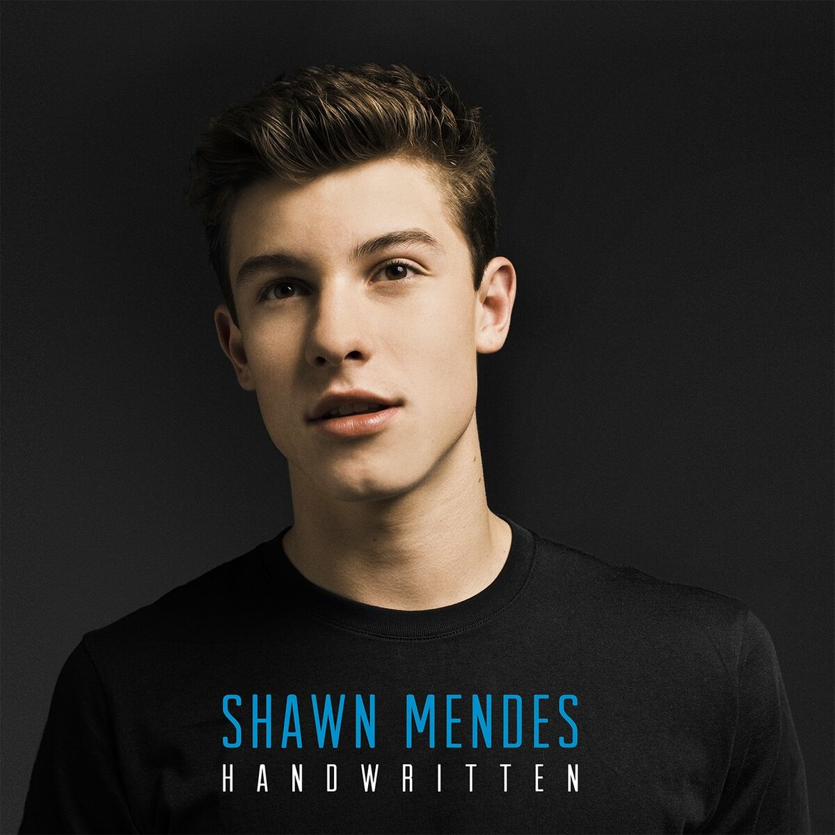 Handwritten · Shawn Mendes