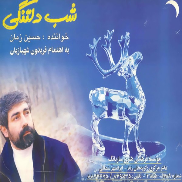شب دلتنگی · Hosein Zaman