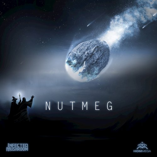 Nutmeg (Original Mix) — Infected Mushroom