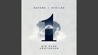 Bir Ayda Unutursun — Aydilge