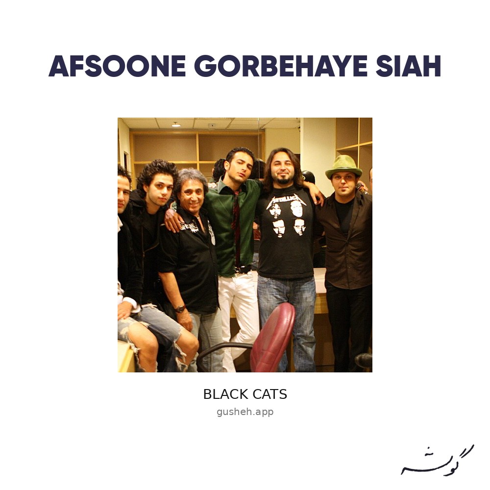Afsoone Gorbehaye Siah · Black Cats