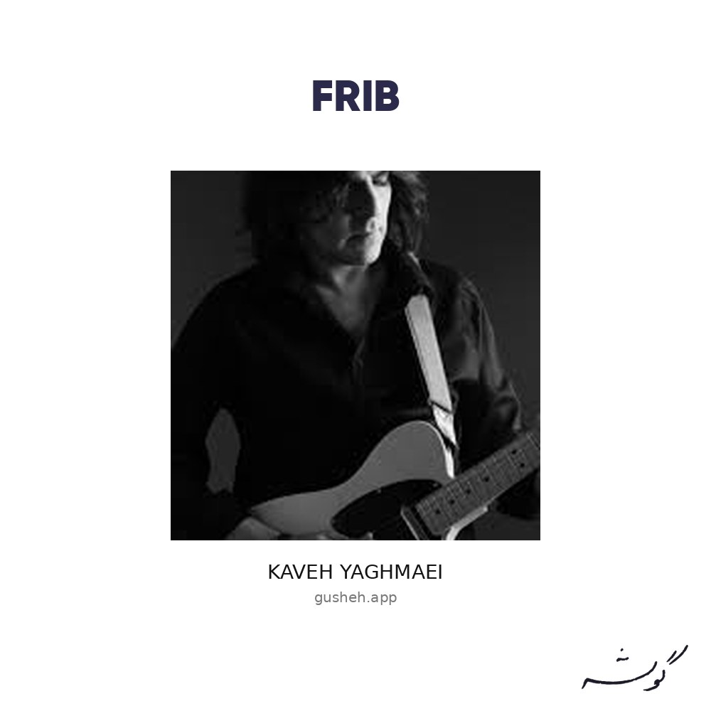 Cover art for frib by Kaveh Yaghmaei
