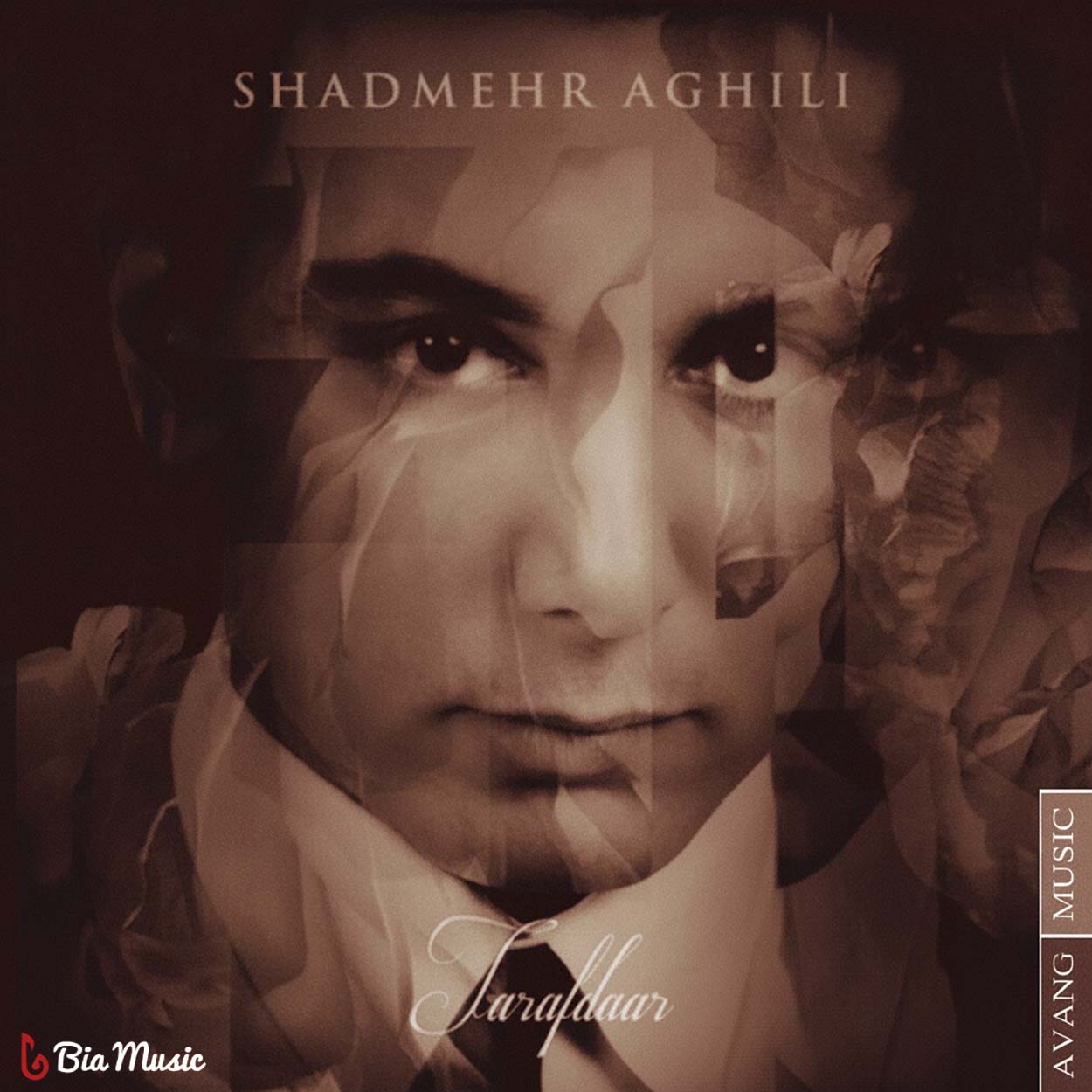 طرفدار · Shadmehr Aghili