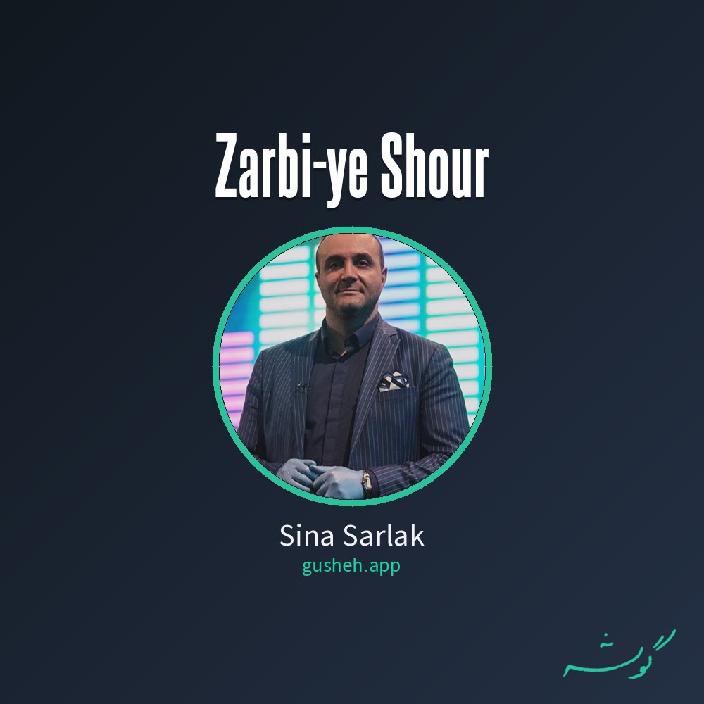 جلد قطعه ضربی شور از Sina Sarlak