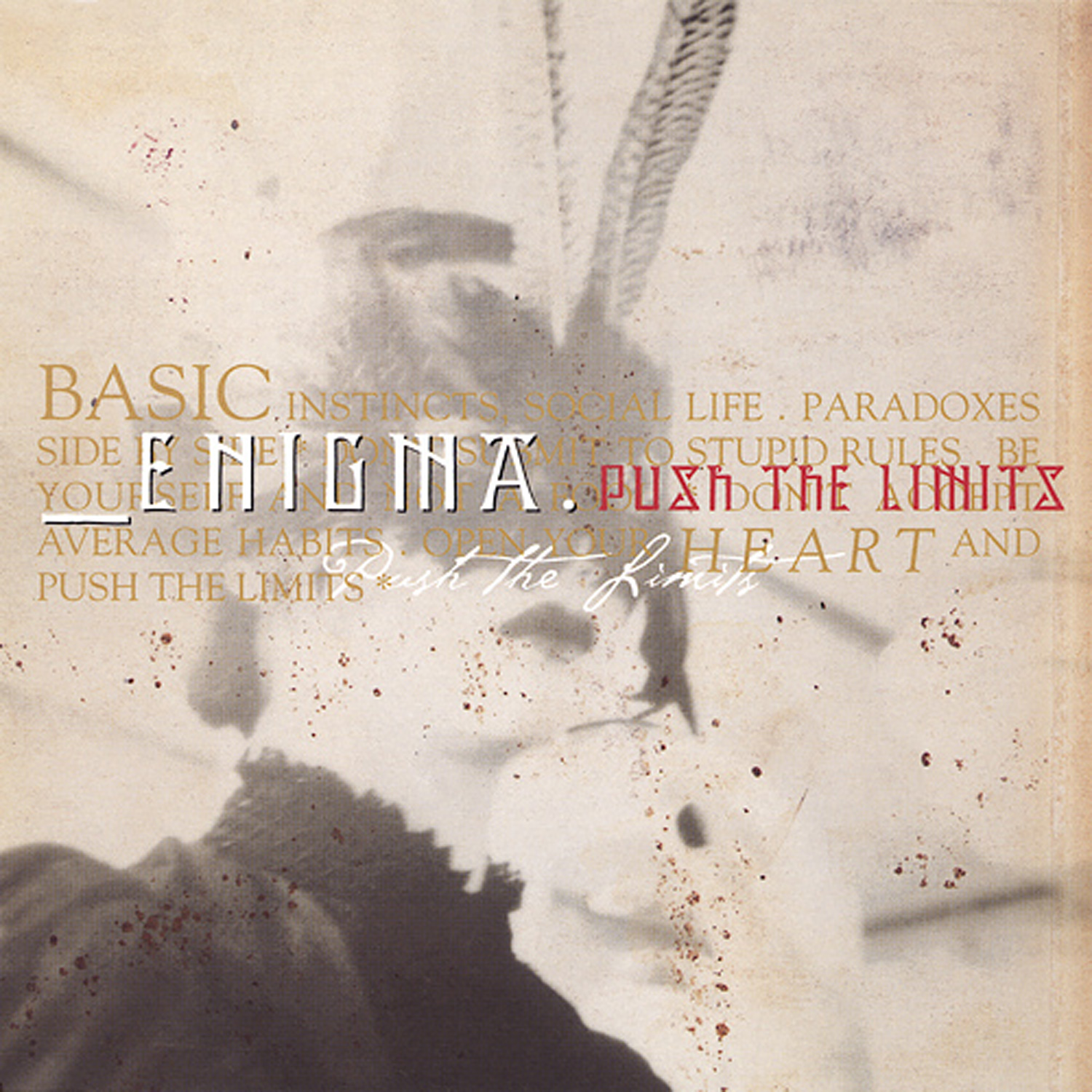 Push The Limits — Enigma