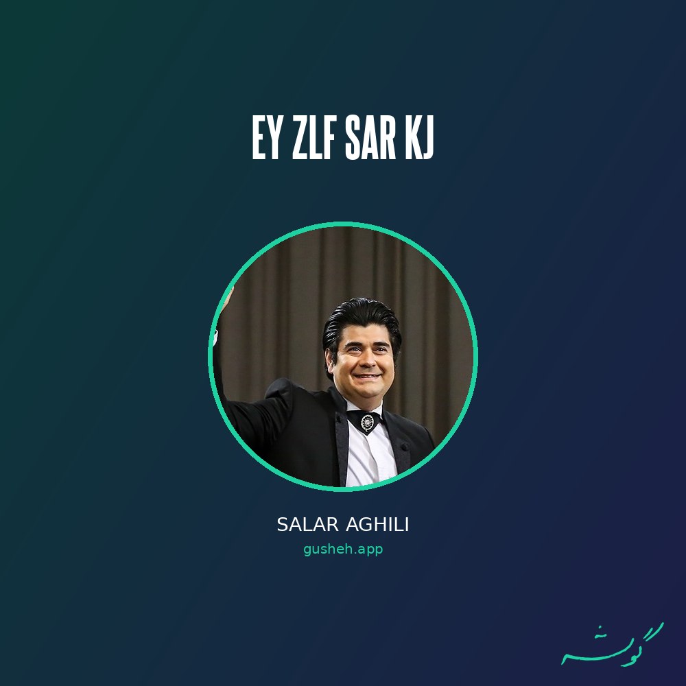 جلد قطعه ای زلف سرکج از Salar Aghili