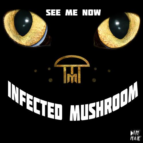 Infected Mushroom See Me Now (Original Mix) — Infected Mushroom